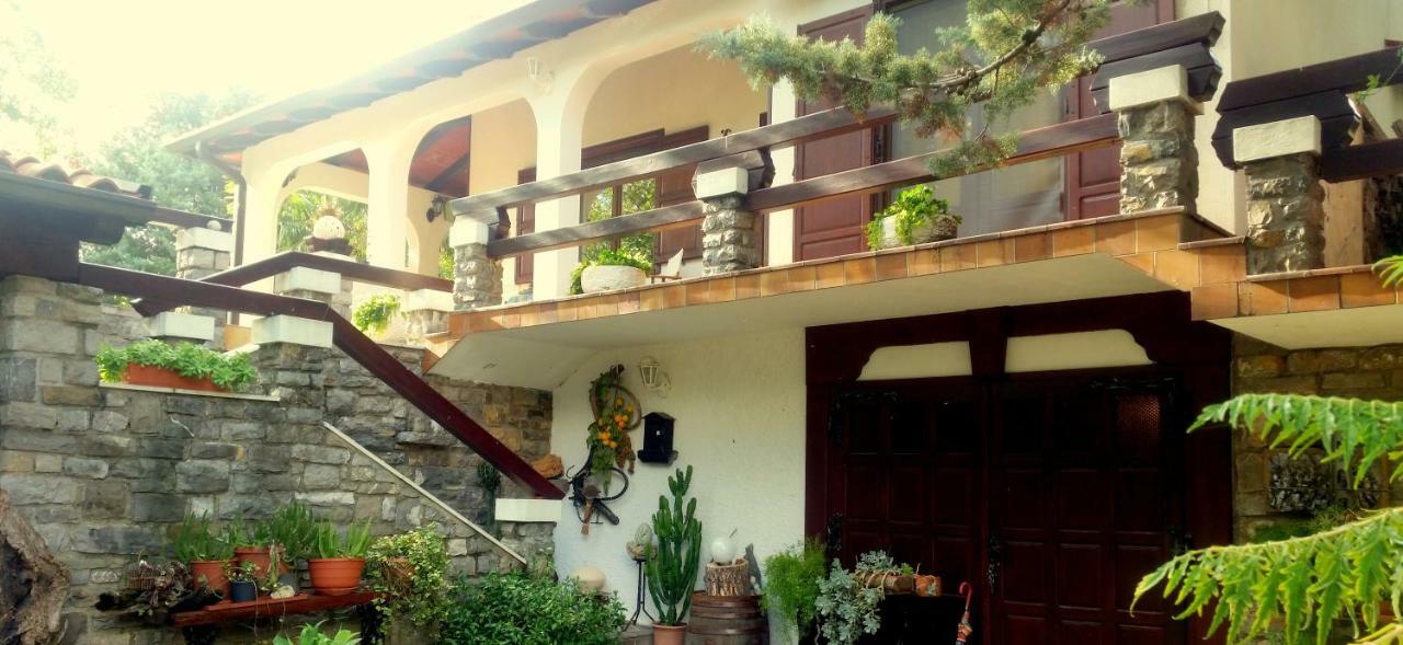 Apartment Slavi Vipava Εξωτερικό φωτογραφία