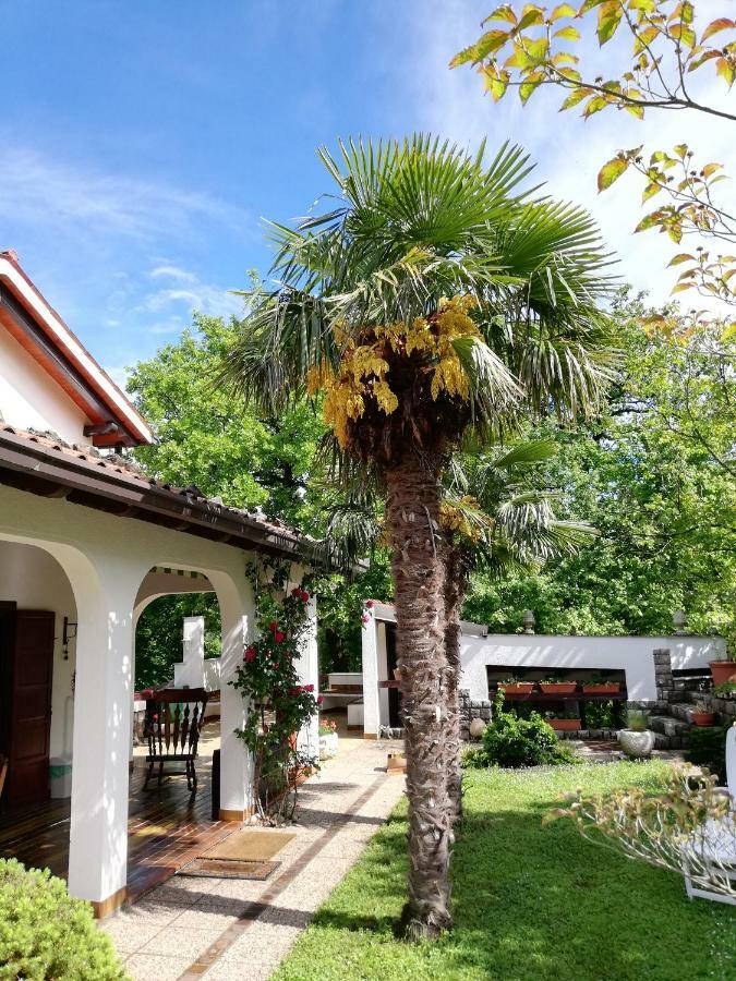 Apartment Slavi Vipava Εξωτερικό φωτογραφία