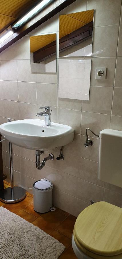 Apartment Slavi Vipava Εξωτερικό φωτογραφία